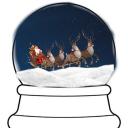 The Snowglobe Destroyers Discord Server Banner