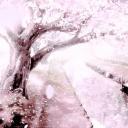 Princess_ Discord Server Banner