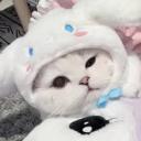 Kitty Bot Discord Server Banner