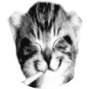 Célula de ideias-🕯️ Discord Server Banner