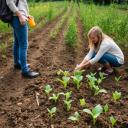 Fertile Ground Discord Server Banner