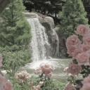 Apricity Discord Server Banner