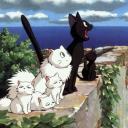 初級 || Junior Discord Server Banner