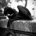 Witching Hour Discord Server Banner
