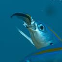 The Many Fish In The Sea (18+) Icon