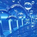 Dolphin Land Discord Server Banner