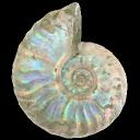 archaic Discord Server Banner