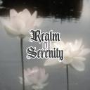 Realm of Serenity Discord Server Banner