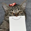 The Meowgical Empire Discord Server Banner