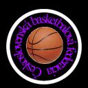 ČSBSFD Discord Server Banner