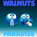 walnuts paradise Discord Server Banner