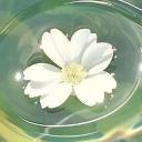 Haze mp Discord Server Banner