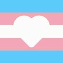 ?Amanti delle Transessuali? Discord Server Banner