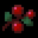 Berryville Discord Server Banner