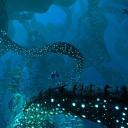 The Uncharted Deep Discord Server Banner