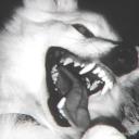 staygrave Discord Server Banner