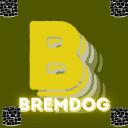 BREM Community Discord Server Banner