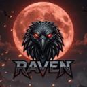 Raven Discord Server Banner