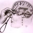 Lobotomy Lounge | Emojis! Discord Server Banner