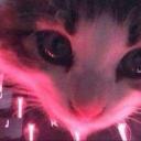 Limitless Comunity Discord Server Banner