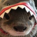 Lazzie city Discord Server Banner