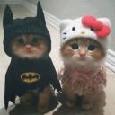 Looking for Gf Discord Server Banner