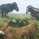 Solar Moon Discord Server Banner