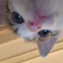 Critically's Vision Discord Server Banner