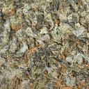 StaxsBeatsEmpire Discord Server Banner