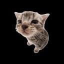 Aiden's Scripts Discord Server Banner