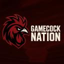 Gamecock Nation Discord Server Banner