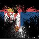 SerbiaPYA Discord Server Banner