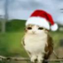 ANDY’S ATTC🎄 Icon