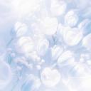 Hangout Discord Server Banner