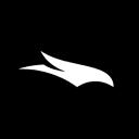 Night Hawk Discord Server Banner