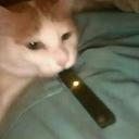 Bart Simpson's hot box house Discord Server Banner