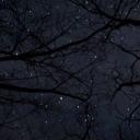 Kayla’s menu Discord Server Banner