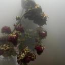 DTI OBSIDIAN ꒰ྀི১ ໒꒱ིྀ Discord Server Banner