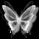 The High Tide Discord Server Banner