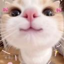 ☕ ⌗ 𝐂𝐨𝐳𝐲 𝐂𝐡𝐚𝐭 𝐂𝐨𝐫𝐧𝐞 Discord Server Banner