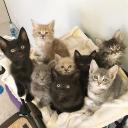 juice Discord Server Banner