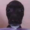 Femboy Lovers Discord Server Banner