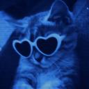 🐾 𝑪𝑨𝑻’𝑺 𝑨𝑷𝑨𝑹𝑻𝑴𝑬𝑵𝑻 Discord Server Banner
