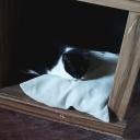 Ebs Discord Server Banner