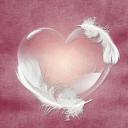 🌙 Safe Haven Discord Server Banner