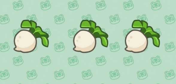 ¿Necesitas vender tus nabos urgente?