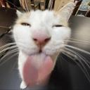 selling! Discord Server Banner