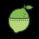 Pocket Lime Financial Discord Server Banner