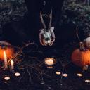 The Witches' Hollow Discord Server Banner