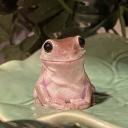 Clarion(◍•ᴗ•◍)✧*。 Discord Server Banner